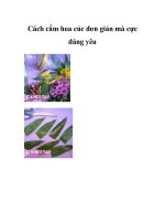 Cách cắm hoa cúc đơn giản mà cực đáng yêu . docx