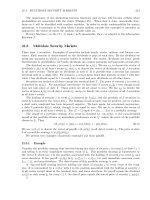 principles of financial economics leroy and werne phần 9 doc