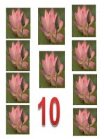 Giáo trình điện tử mầm non: Số 10_1 doc