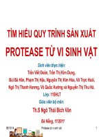 TÌM HIỂU QUY TRÌNH SẢN XUẤT PROTEASE TỪ VI SINH VẬT ppt