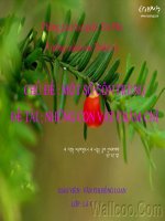 Giáo trình điện tử mầm non: Những người bạn chăm chỉ pot