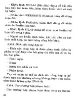 Luật Pencak Silat part 4 pptx