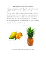 Một số loại trái cây không tốt như bạn tưởng pdf