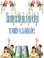 Giáo án điện tử tiểu học: Cây sống ở đâu pptx