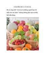 6 tìm hiểu thú vị về trái cây pps