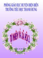 Giáo án điện tử tiểu học: Tự nhiên xã hội lớp 2 docx