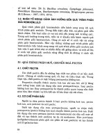 Giáo trình sinh học đất part 4 ppt