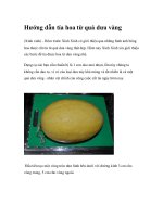 Hướng dẫn tỉa hoa từ quả dưa vàng potx