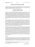 Kinh tế vĩ mô - Việt Nam: Con rồng trong cơn rối loạn pps