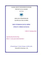 báo cáo phân tích tài chính công ty cổ phần gò đàng