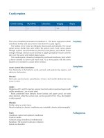 Atlas of Neuromuscular Diseases - part 4 potx