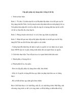 Cấp giấy phép xây dựng nhà ở riêng lẻ đô thị pptx