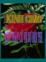 Giáo án điện tử tiểu học: Đường giao thông ppsx