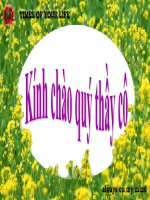 Giáo án điện tử tiểu học: An toàn khi ở nhà pot