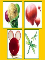 Giáo án điện tử tiểu học: Rau củ pps