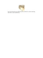 Giáo trình hình thành hệ thống ứng dụng bộ lọc brush tip set theo tweened animation p3 pps