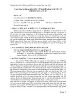 Tóm tắt báo cáo nghiên cứu khoa học 