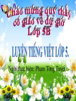 Giáo án điện tử tiểu học: Tiếng việt lớp 5 potx