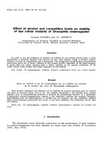 báo cáo khoa học: 