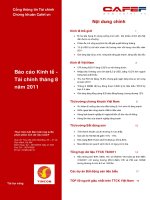 báo cáo kinh tế tài chính tháng 8/2011 pdf