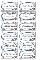 Nhan vo cuc dep ppsx