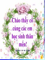 Giáo án điện tử tiểu học: Trang trí hình chữ nhật pot