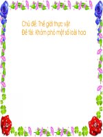 Giáo trình điện tử mầm non: Duyên dáng hoa docx