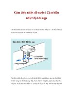 Cảm biến nhiệt độ nước | Cảm biến nhiệt độ khí nạp pps