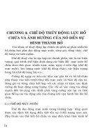Thành tạo bờ các hồ chứa nhỏ vùng rừng ( Nhà xuất bản đại học quốc gia Hà nội ) - Chương 2 ppt