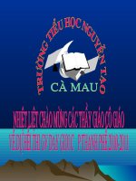 Giáo án điện tử tiểu học môn lịch sử: Tiến vào dinh Độc Lập pdf