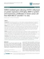 báo cáo khoa học: 