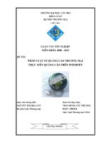 pháp luật về quảng cáo thương mại  thực tiễn quảng cáo trên internet