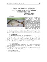 Báo cáo nghiên cứu khoa học 