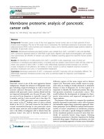 s Membrane proteomic analysis of pancreatic cancer cells docx
