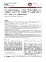 Traumatic brain injury and the effects of diazepam, diltiazem, and MK-801 on GABA-A receptor subunit expression in rat hippocampus ppt