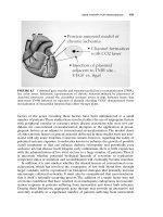 An Introduction to Molecular Medicine and Gene Therapy - part 6 ppsx