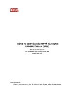 CÔNG TY CỔ PHẦN ĐẦU TƯ VÀ XÂY DỰNG SAO MAI - BÁO CÁO CỦA HỘI ĐỒNG QUẢN TRỊ BÁO CÁO KIỂM TOÁN NĂM 2008 docx