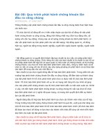 Quy trình phát hành chứng khoán ra ngoài công chúng doc