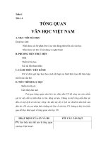 Tiết 1.2 TỔNG QUAN VĂN HỌC VIỆT NAM potx