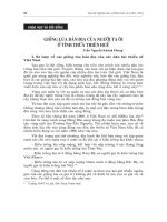 Báo cáo nghiên cứu khoa học 