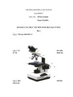 thuc tap sinh hoc dai cương doc