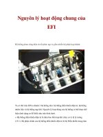 Nguyên lý hoạt động chung của EFI docx