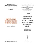 Mô hình hóa toán học sóng gió trong đại dương bất đồng nhất không gian ( Đại học quốc gia Hà Nội ) - Chương mở đầu pptx