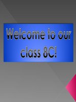 Giáo án điện tử tiểu học: Lớp 8 Unit Festivals potx