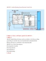 ABS ECU ( Antilock Bracking System Electronic Control Unit) pps