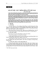 Báo cáo nghiên cứu khoa học 