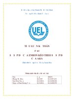 TIỂU LUẬN sự sụp đổ của ENRON và aa