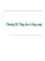 Ch­¬ng III - Tæng cÇu vµ tæng cung ppt