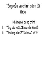 Ch­¬ng IV - Tæng cÇu vµ chÝnh s¸ch tµi khãa potx