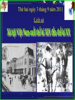 Giáo án điện tử tiểu học môn lịch sử: Lịch sử xã hội Việt Nam doc